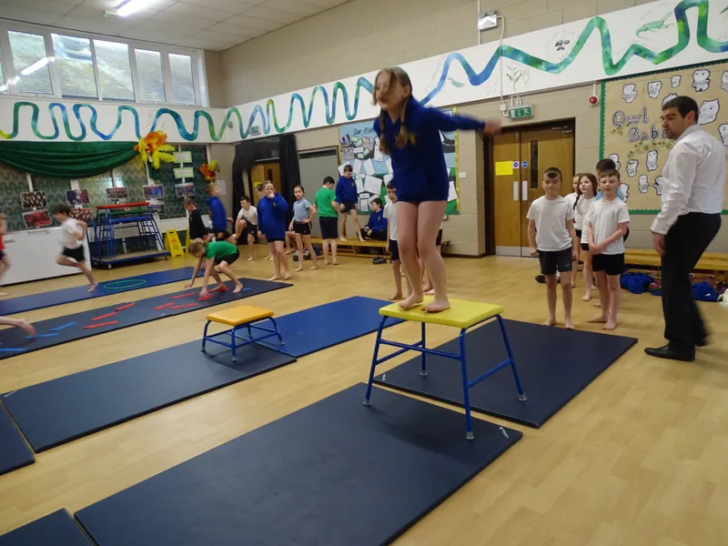 Ospreys Gymnastics Skills - image 20 Ospreys Gymnastics Skills - image 20