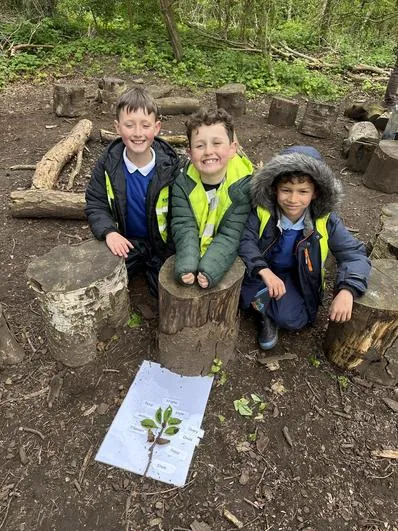Summer 2024 - 24th April - Saplings - Flower Parts and What a Plant Needs to Grow - image 1 Summer 2024 - 24th April - Saplings - Flower Parts and What a Plant Needs to Grow - image 1