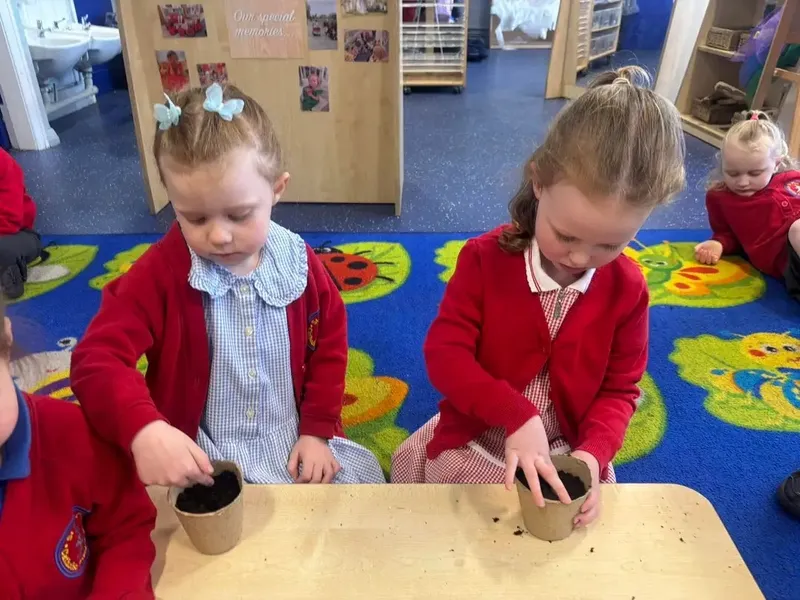 Gallery - created at 2025-05-18 08:26:17 - image 1