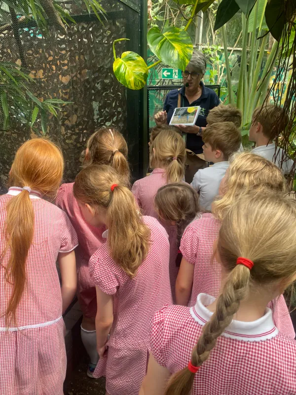 Gallery - created at 2025-06-20 13:57:48 - image 3