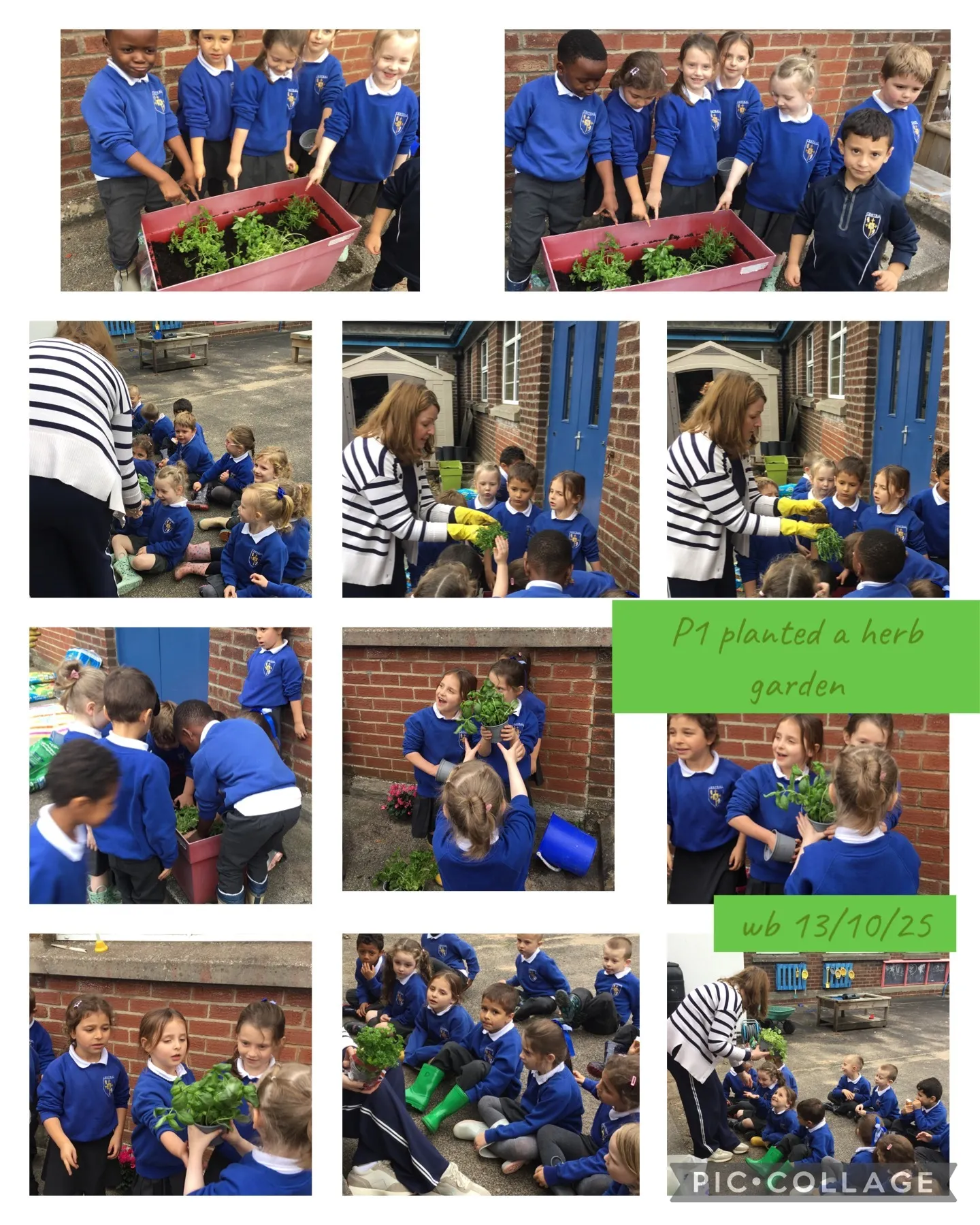 Gallery - created at 2025-10-20 16:55:32 - image 1