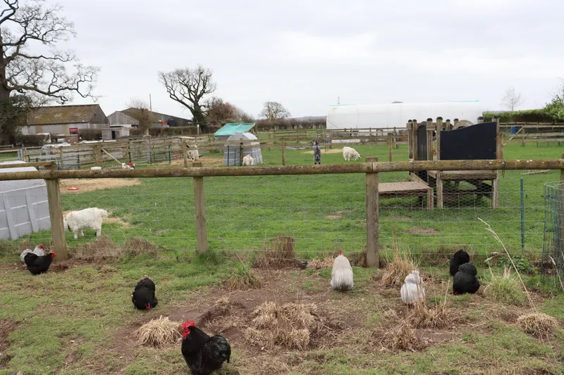 Farm march '26 - image 5 Farm march '26 - image 5