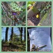 Forest School 11 - image 2 Forest School 11 - image 2