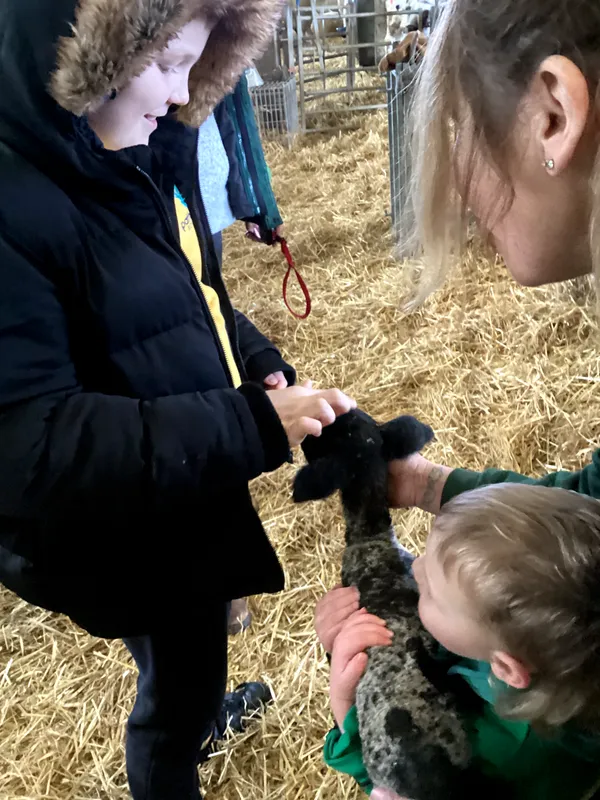 Yellow Class Trip to Woolmers' Farm 2026 - image 10