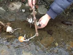 Forest School 146 - image 1 Forest School 146 - image 1