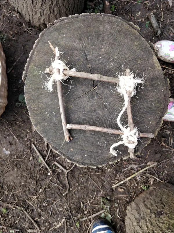 Y3 Forest schools - image 5