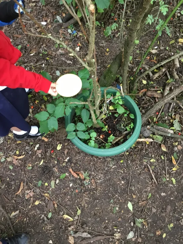 Gallery - created at 2023-09-29 12:47:11 - image 3