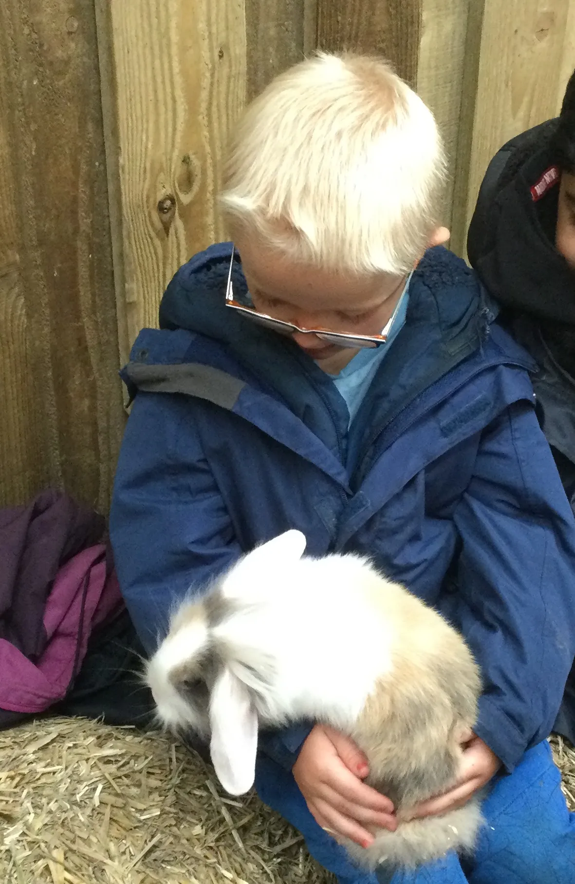 Smithills Farm - image 12