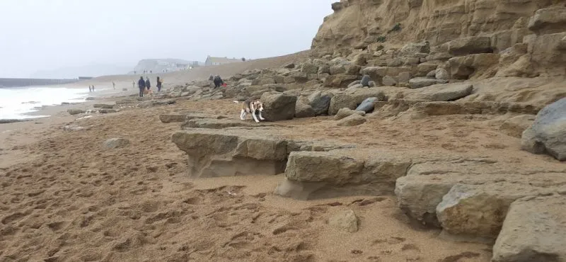 Our School - Bella 3 - image 3