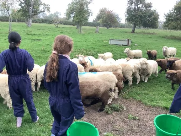 Farm 2025 - Gallery 3 - image 21