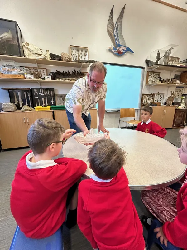 Gallery - created at 2025-05-15 20:19:39 - image 22