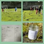 Forest School 16 - image 1 Forest School 16 - image 1