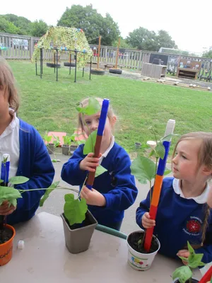 Giant Beanstalks - image 21