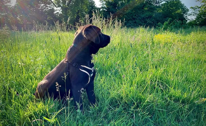 Gallery - created at 2021-06-30 13:57:57 - image 29