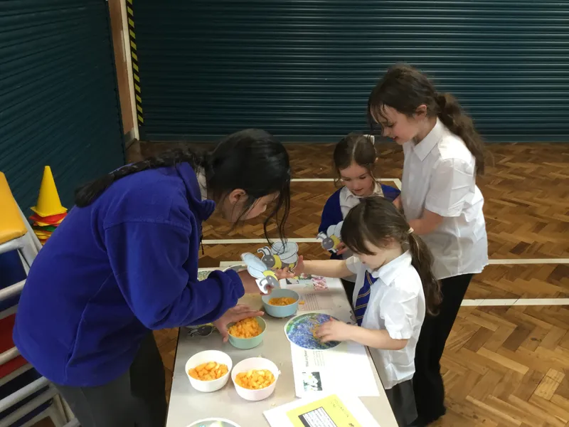 British Science Week - image 12