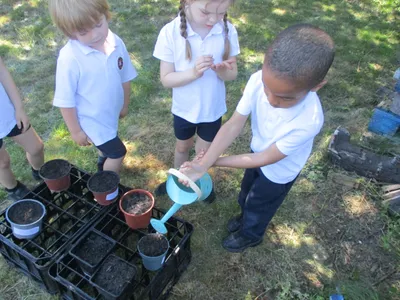 Planting - image 39