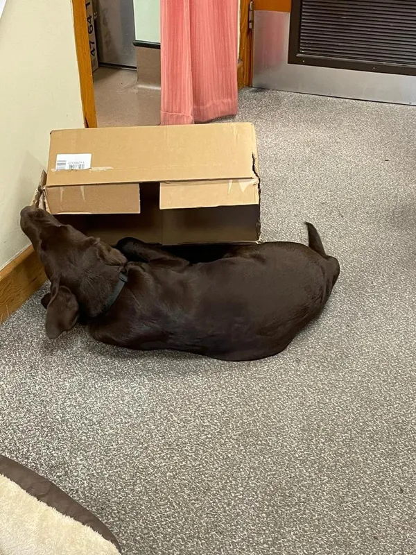 Gallery - created at 2021-06-30 13:57:57 - image 38