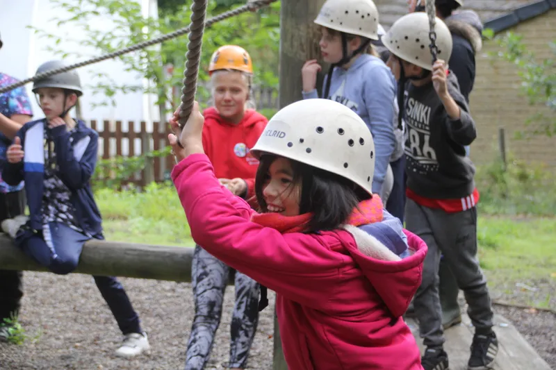 Gallery - created at 2018-10-23 12:06:09 - image 11