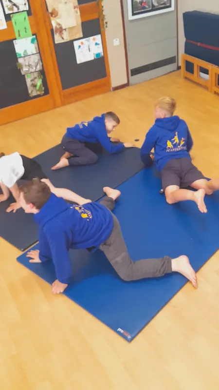 Ospreys have been learning about mirroring and matching in gymnastics - image 10 Ospreys have been learning about mirroring and matching in gymnastics - image 10
