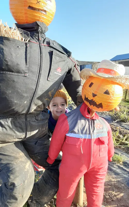 Gallery - created at 2024-10-25 14:50:36 - image 11 Gallery - created at 2024-10-25 14:50:36 - image 11