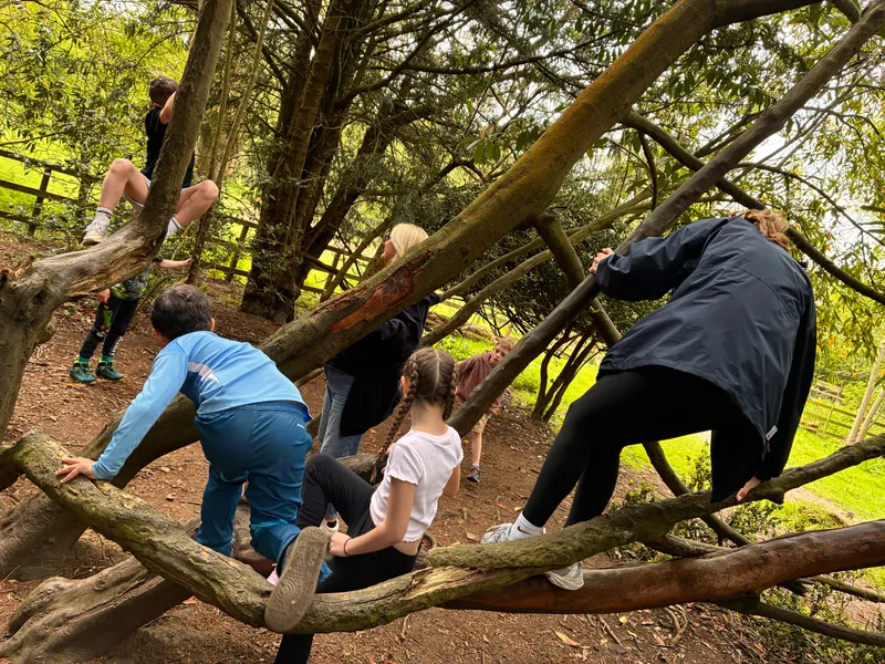 Year 3 Losehill Residential 2026 - image 83