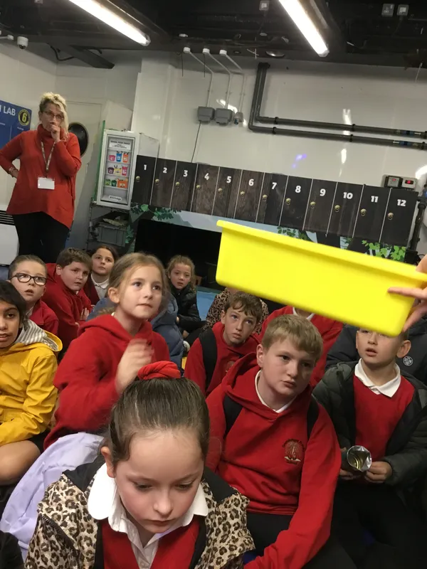 Year 5 Sealife Centre  - image 17