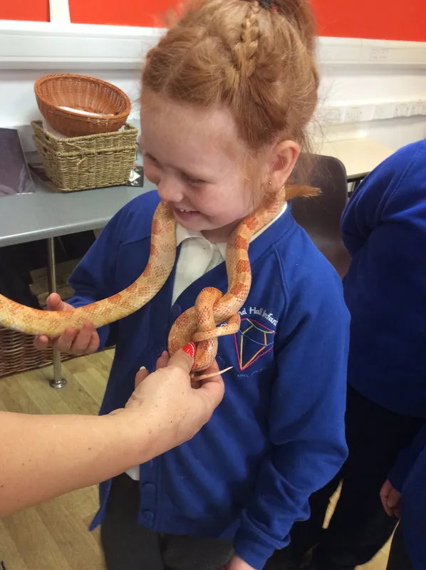 Gallery - created at 2024-03-05 13:52:56 - image 7 Gallery - created at 2024-03-05 13:52:56 - image 7