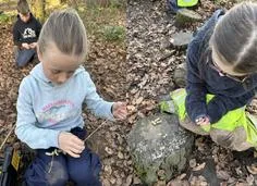 Forest School 81 - image 3 Forest School 81 - image 3