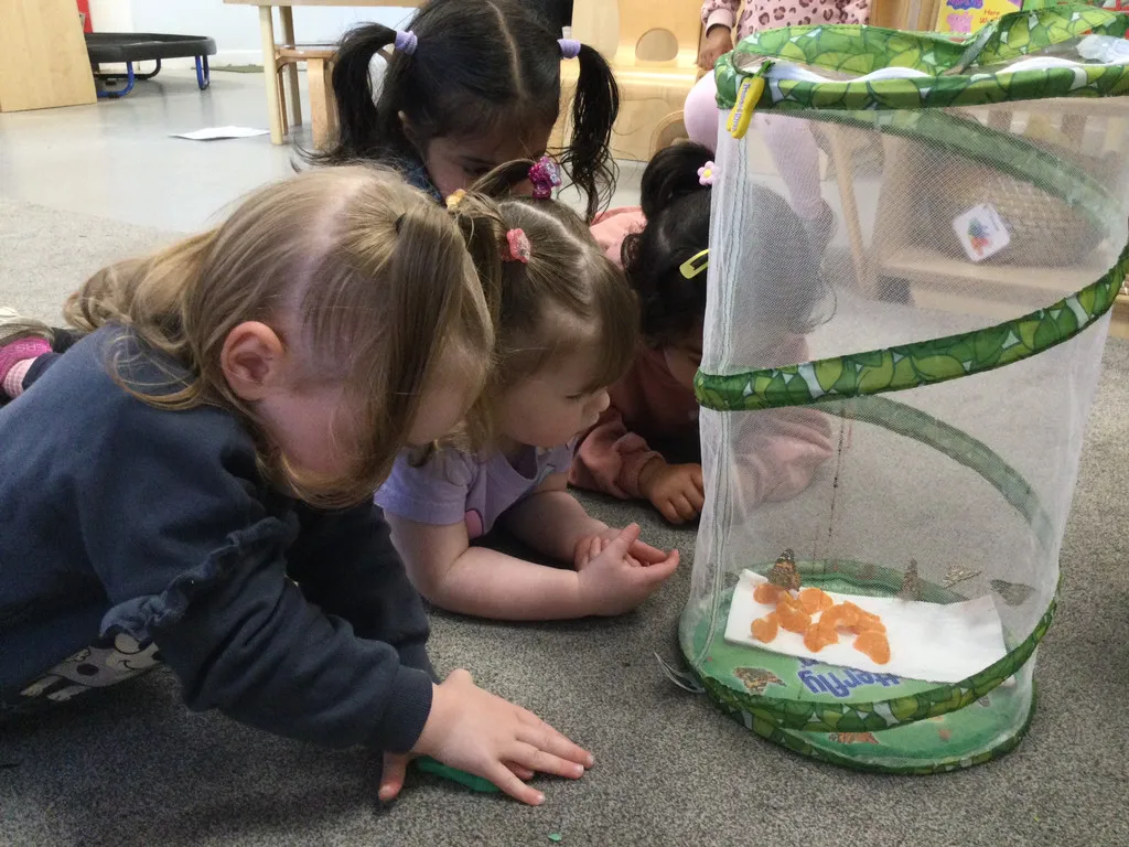 Life Cycles - image 17