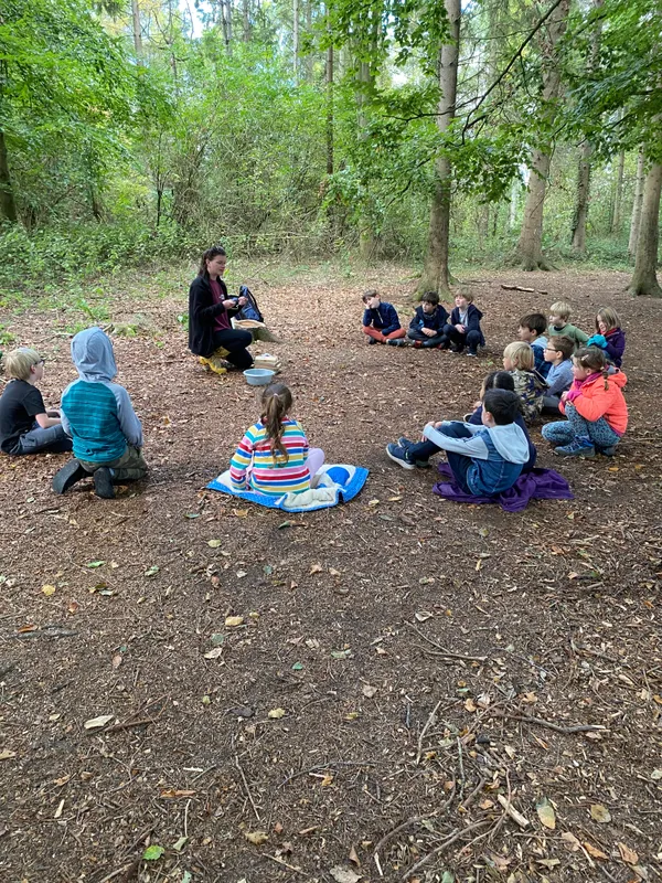 Gallery - created at 2022-09-28 19:23:05 - image 12 Gallery - created at 2022-09-28 19:23:05 - image 12