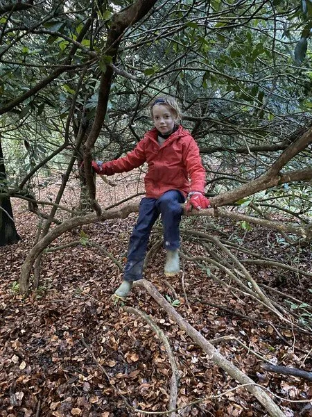 Willow - Term 2 Week 5 - image 7 Willow - Term 2 Week 5 - image 7