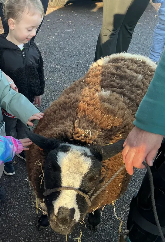 Explorers with Stella on Wheels  - image 4