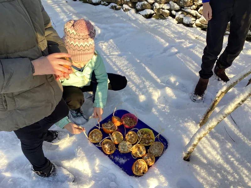 Gallery - created at 2025-02-25 16:17:58 - image 14