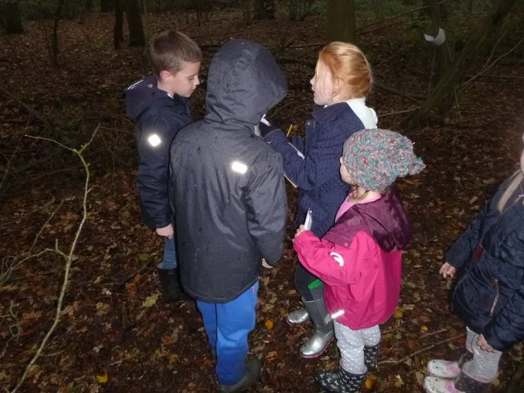 Gallery 7 - image 13