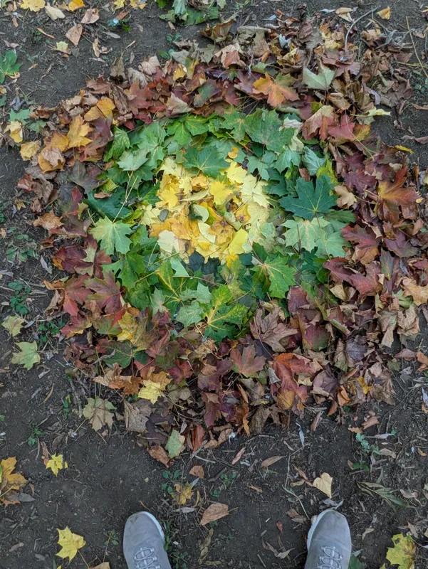 Gallery - created at 2025-10-16 16:14:55 - image 1