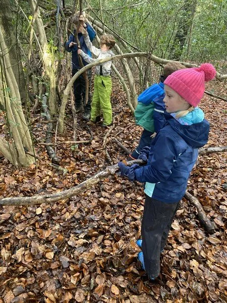 Willow - Term 2 Week 5 - image 10 Willow - Term 2 Week 5 - image 10