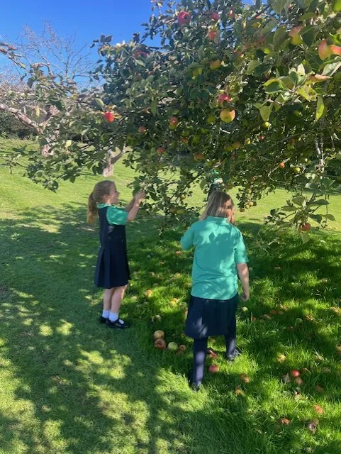Apple Picking 2025 in Hendred House Garden - image 10