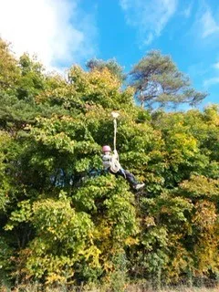 Gallery - created at 2022-10-22 14:49:24 - image 17