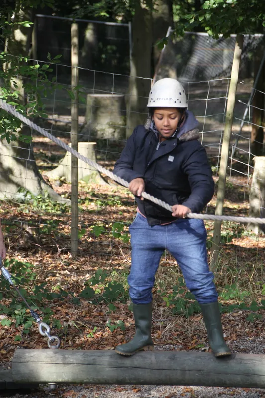 Gallery - created at 2018-10-23 12:06:09 - image 9