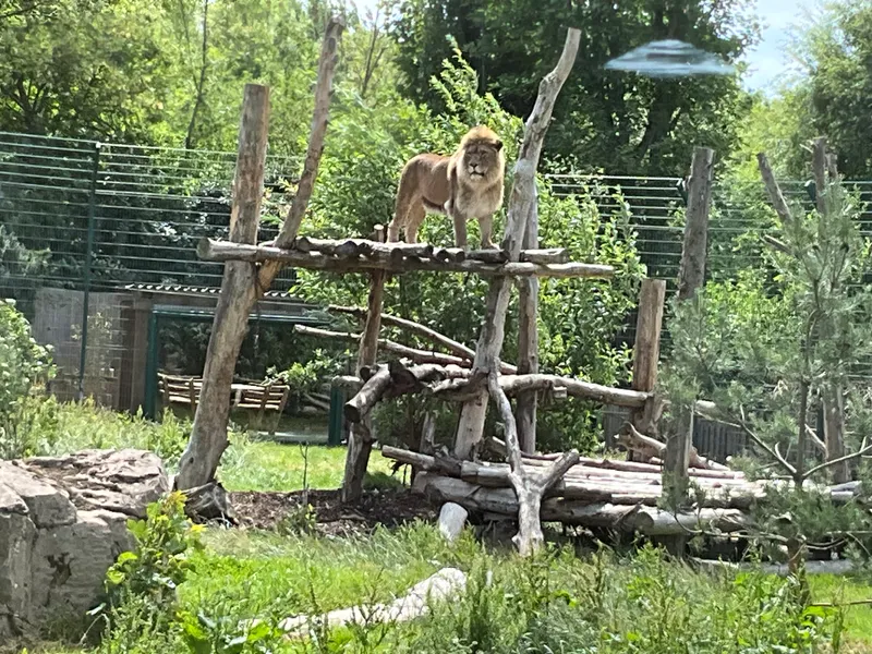 Blackpool Zoo - image 5