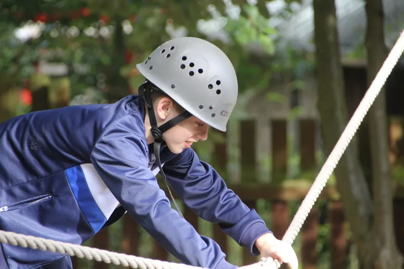 Gallery - created at 2018-10-23 12:06:09 - image 12