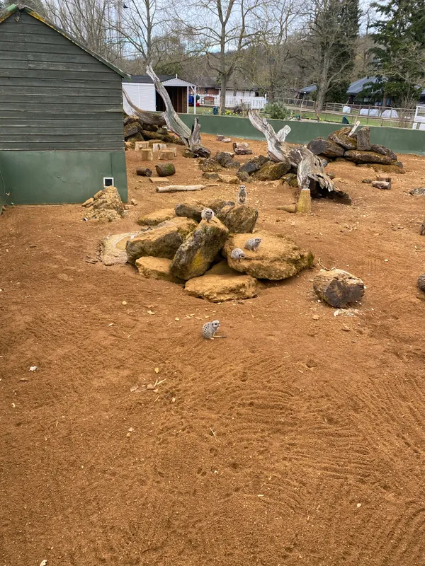 Gallery - created at 2023-02-28 20:50:59 - image 13 Gallery - created at 2023-02-28 20:50:59 - image 13