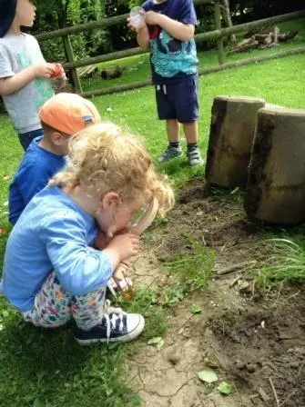 RNS - Our Outdoor Area - image 10