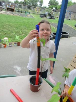 Giant Beanstalks - image 8