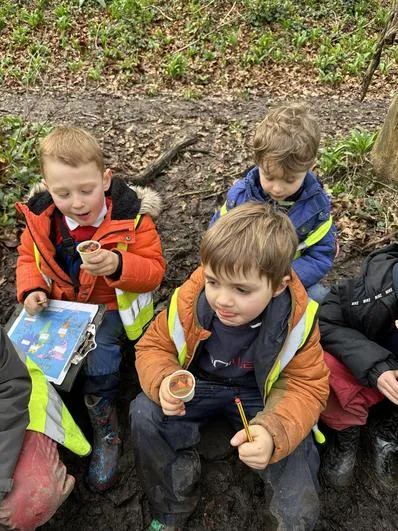 Forest School 46 - image 4 Forest School 46 - image 4
