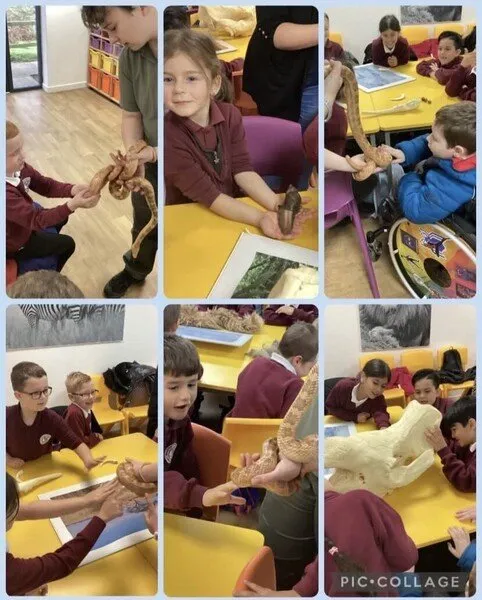 geography - image 7