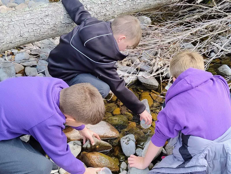 Gallery - created at 2025-06-06 10:37:45 - image 12 Gallery - created at 2025-06-06 10:37:45 - image 12