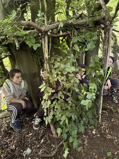 Summer 2024 - 8th July - Y6 Hackness and Wykeham Forest School Day - Spiders’ Webs; Whittling; Tea and S’mores; Blindfold Game; Shelter Building; Forest Games - image 1 Summer 2024 - 8th July - Y6 Hackness and Wykeham Forest School Day - Spiders’ Webs; Whittling; Tea and S’mores; Blindfold Game; Shelter Building; Forest Games - image 1