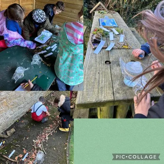 Autumn 2023 - 15th November - Saplings - The Water Cycle - image 1 Autumn 2023 - 15th November - Saplings - The Water Cycle - image 1