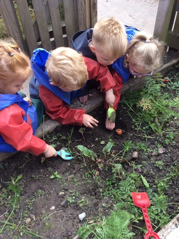 Gallery - created at 2024-02-15 10:36:50 - image 61 Gallery - created at 2024-02-15 10:36:50 - image 61